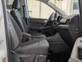 Ford Grand Tourneo Active Bi-LED PANO CAM 7-SI AHK 18 Weiß - thumbnail 21