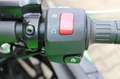 Kawasaki Ninja 650 ABS + Drossel 48 PS Vert - thumbnail 11