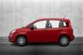 Fiat Panda 1.0 FireFly S&S Hybrid Rosso - thumbnail 3