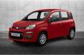 Fiat Panda 1.0 FireFly S&S Hybrid Rosso - thumbnail 1