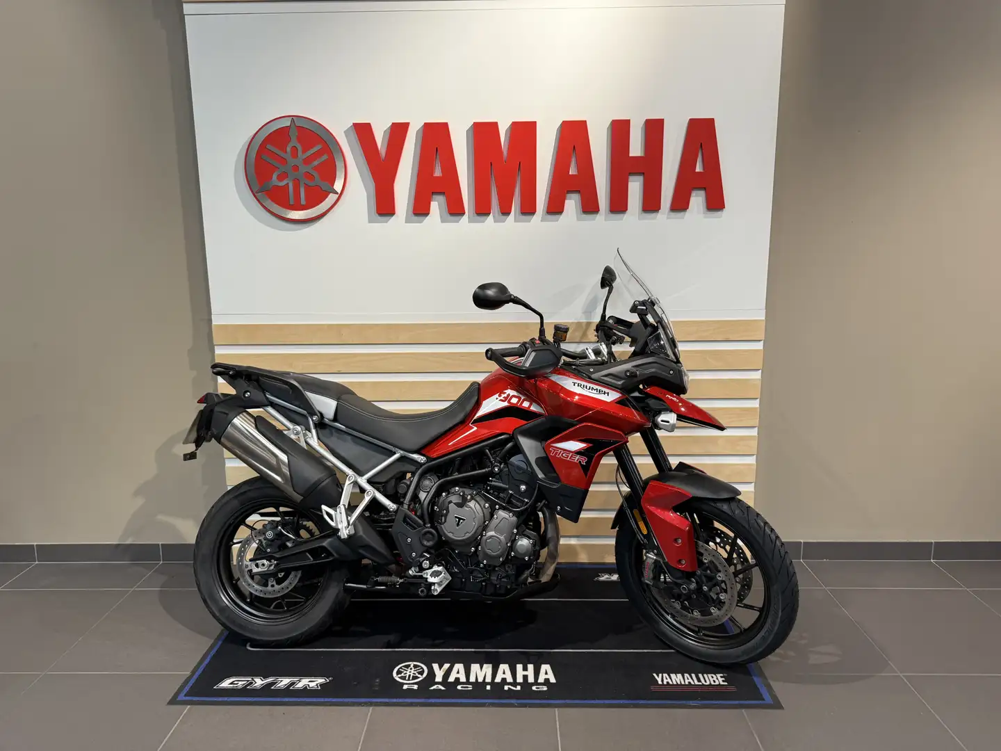 Triumph Tiger 900 - 1