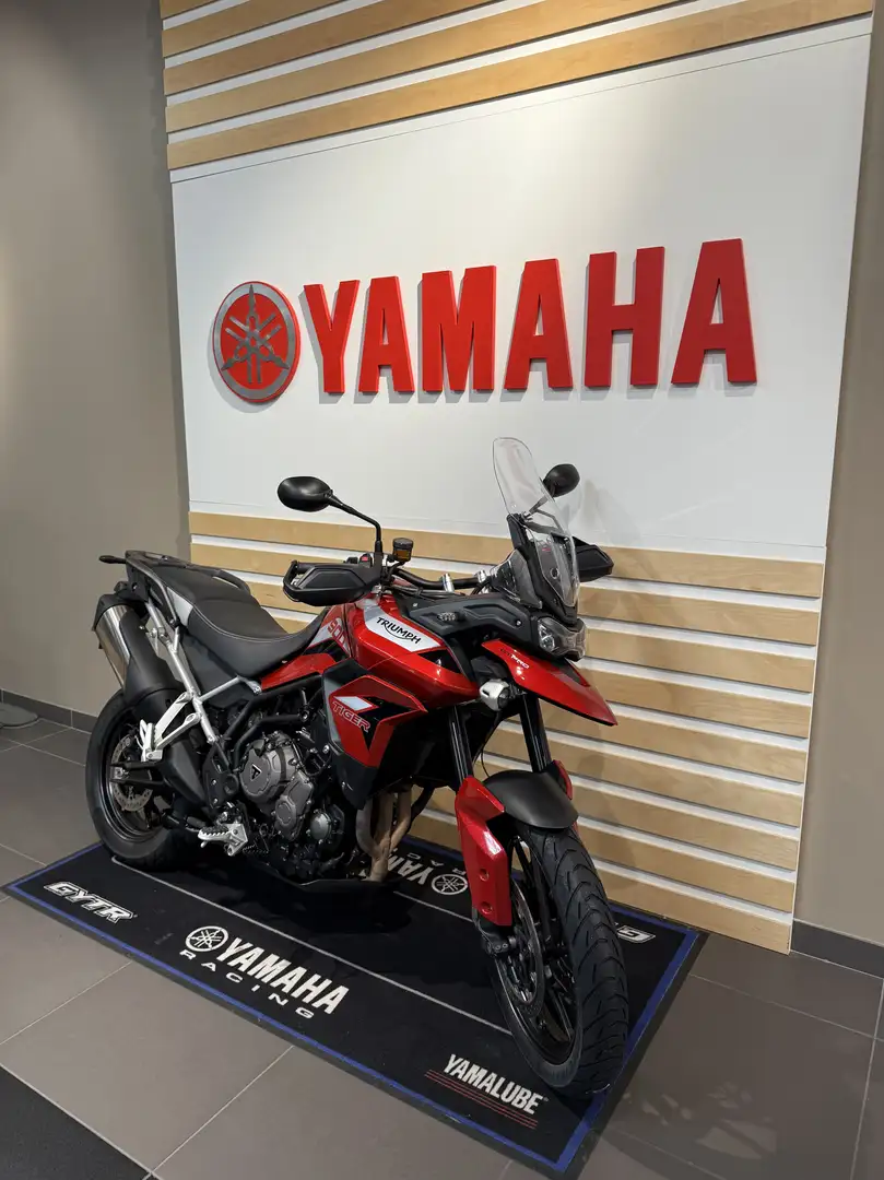 Triumph Tiger 900 - 2