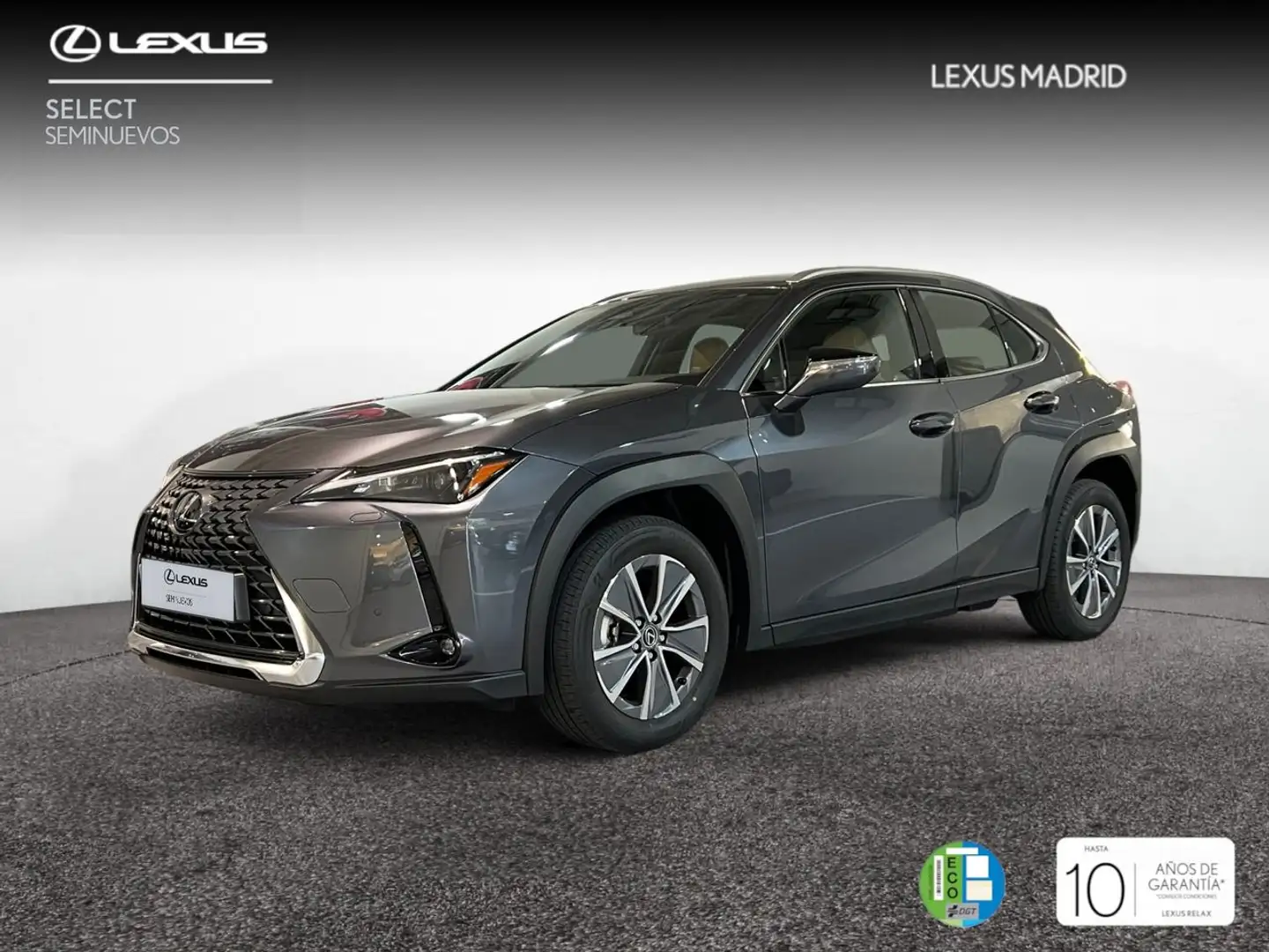 Lexus UX 300e e- Gris - 1
