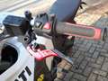 Ducati DesertX 950  Wilbers Federbein Blanco - thumbnail 14