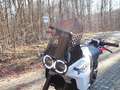 Ducati DesertX 950  Wilbers Federbein Blanco - thumbnail 18
