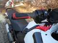 Ducati DesertX 950  Wilbers Federbein Blanco - thumbnail 12