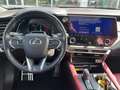 Lexus RX 500h 500h Hybrid Turbo F Sport+ MY23     IVA ESPOSTA COMPRESA - thumbnail 13