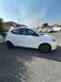 Lancia Ypsilon Ypsilon 1.0 FireFly 5 porte S&S Hybrid Ecochic Gol Blanc - thumbnail 7
