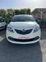 Lancia Ypsilon Ypsilon 1.0 FireFly 5 porte S&S Hybrid Ecochic Gol Blanc - thumbnail 5