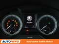 Skoda Octavia 2.0 TDI Laurin & Klement 4x4 Aut.*XENON*TEMPO* Blau - thumbnail 20
