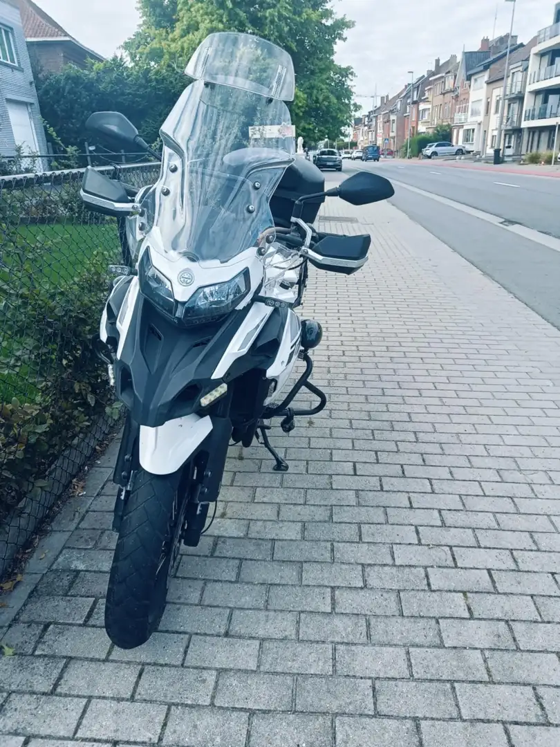 Benelli TRK 502 x Blanc - 2