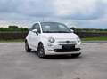 Fiat 500 1.0 Star HYBRID, Bianco Perla! CarPlay Airco new! Blanc - thumbnail 1
