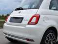 Fiat 500 1.0 Star HYBRID, Bianco Perla! CarPlay Airco new! Blanc - thumbnail 14