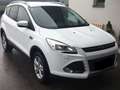 Ford Kuga Kuga 2,0 TDCi Trend Trend Weiß - thumbnail 1