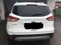 Ford Kuga Kuga 2,0 TDCi Trend Trend Weiß - thumbnail 4
