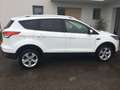 Ford Kuga Kuga 2,0 TDCi Trend Trend Weiß - thumbnail 2