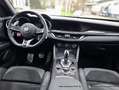 Alfa Romeo Stelvio Quadrifoglio Q4 510PS Rood - thumbnail 8