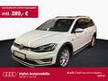 Volkswagen Golf Variant VII Alltrack 2.0 TDI 4Motion AHK Vi Weiß - thumbnail 1