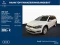 Volkswagen Golf Variant VII Alltrack 2.0 TDI 4Motion AHK Vi Weiß - thumbnail 2