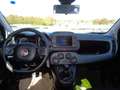 Fiat Panda Panda Cross 1.0 FireFly S&S Hybrid Blu/Azzurro - thumbnail 19