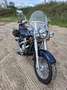 Kawasaki VN 800 CLASSIC Синий - thumbnail 10