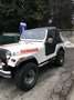 Jeep CJ-7 RENEGADE 4.2 6 CILINDRI BENZINA Biały - thumbnail 15