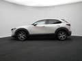 Mazda CX-30 2.0 e-SkyActiv-X Exclusive-line automaat : dealer Brun - thumbnail 2