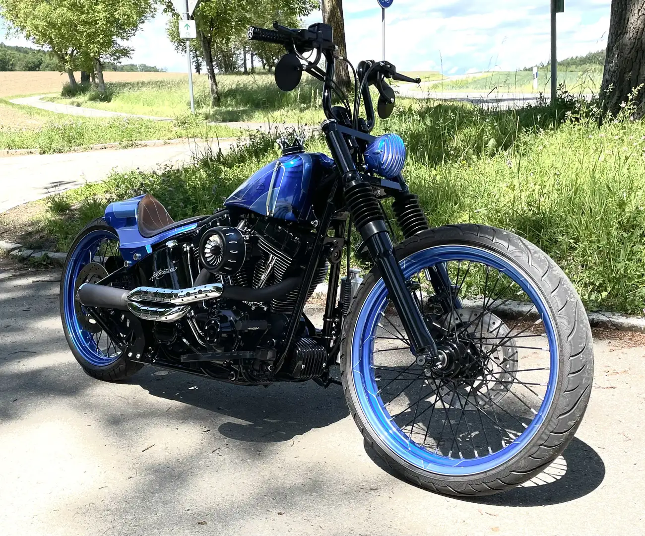 Harley-Davidson Custom Bike 1HD1.     FXSTBI Softail Nidht Train - 2