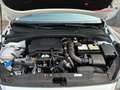 Kia Ceed / cee'd 1.0 T-GDI Concept 100 Bianco - thumbnail 14