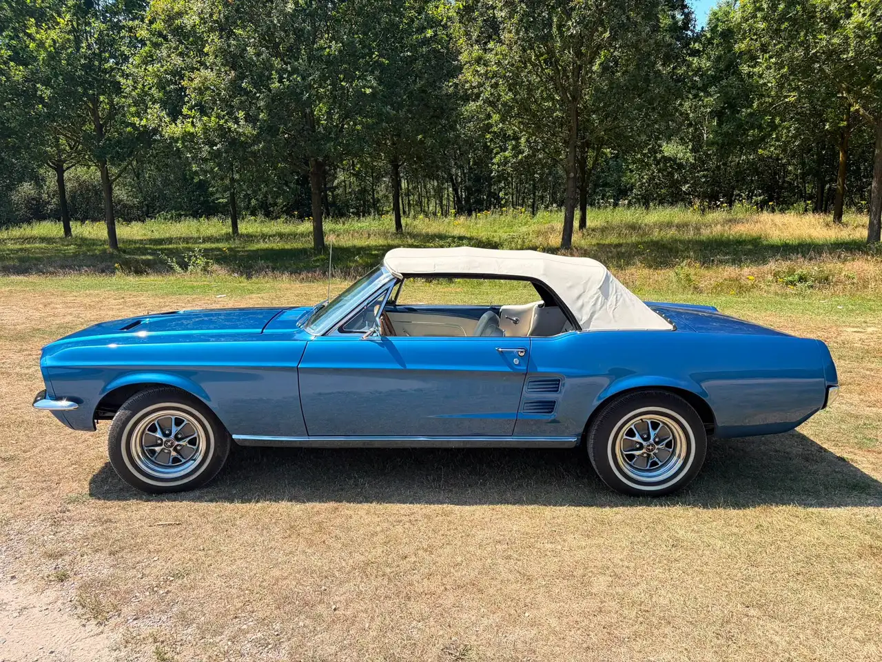 Ford Mustang undefined, foto 4