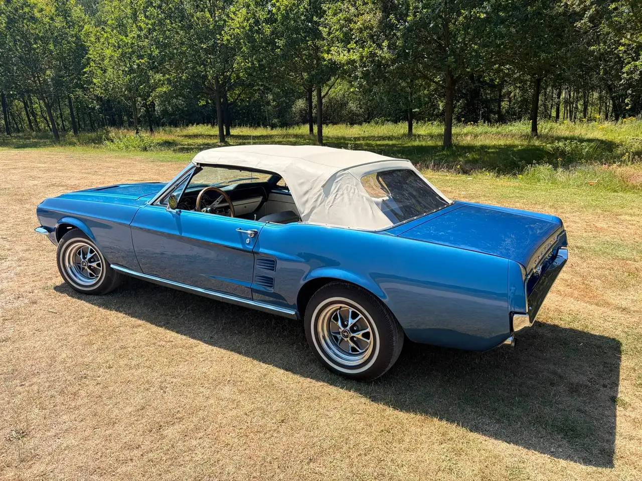 Ford Mustang undefined, foto 6