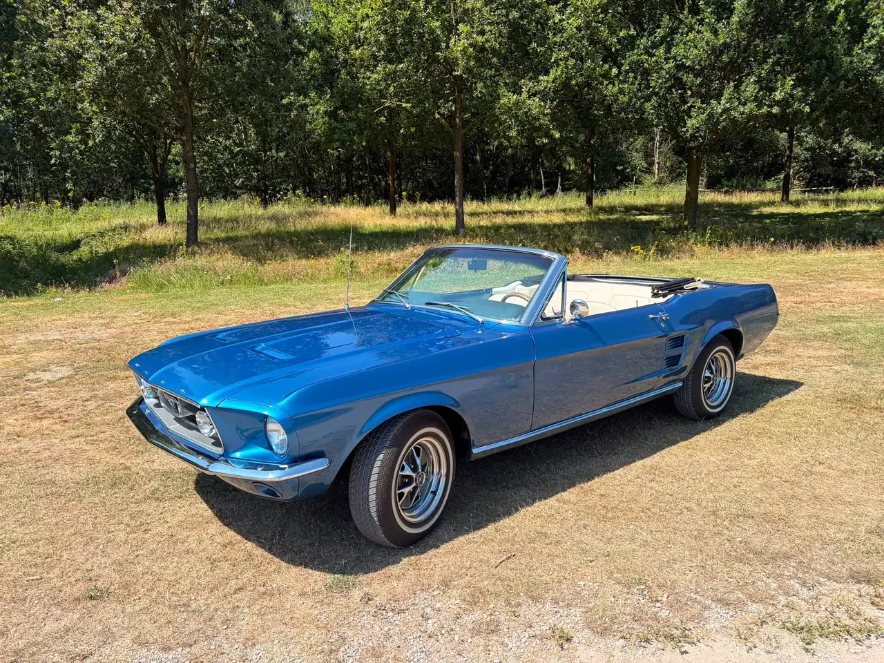 Ford Mustang undefined, foto 2