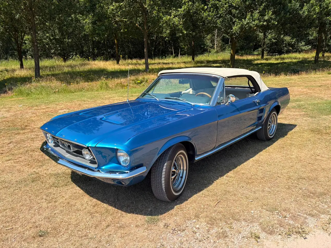Ford Mustang undefined, foto 1