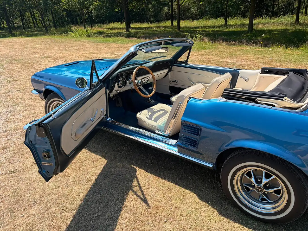 Ford Mustang undefined, foto 3