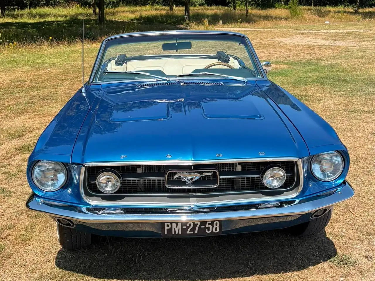 Ford Mustang undefined, foto 10