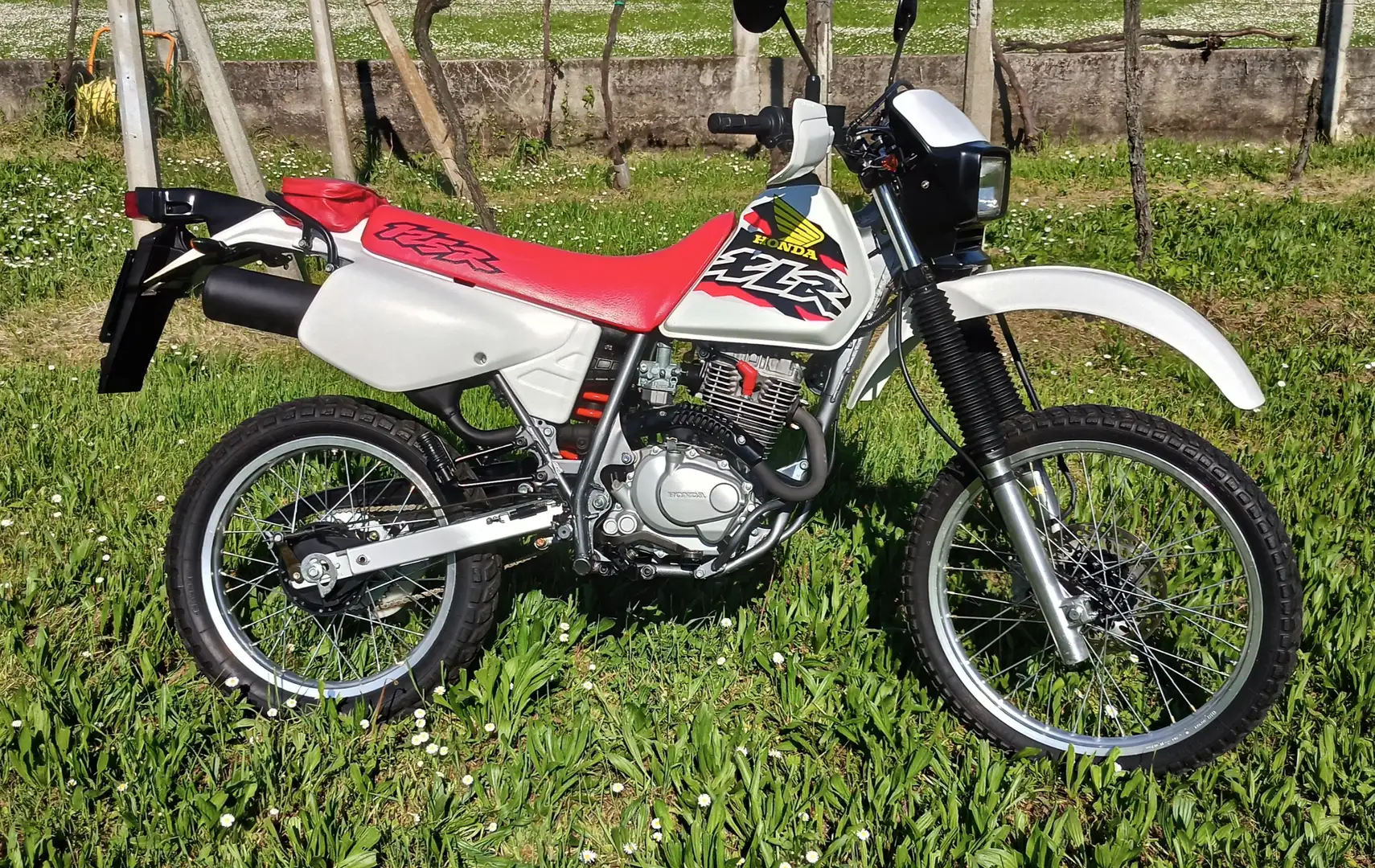 Honda XLR 125 R Biały - 2