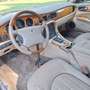 Jaguar XJ XJ V-VI 1994 4.0 V8 Daimler Verde - thumbnail 14