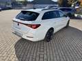 CUPRA Leon 1.4 e-Hybrid ACC eHECK KAMERA Weiß - thumbnail 6