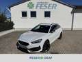 CUPRA Leon 1.4 e-Hybrid ACC eHECK KAMERA Weiß - thumbnail 30