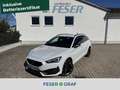 CUPRA Leon 1.4 e-Hybrid ACC eHECK KAMERA Weiß - thumbnail 1