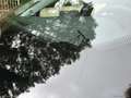 Jeep Avenger 1.2 Turbo Altitude Nero - thumbnail 10
