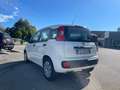 Fiat Panda Panda III 1.2 Pop 69cv E6 Bianco - thumbnail 4