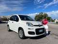 Fiat Panda Panda III 1.2 Pop 69cv E6 Bianco - thumbnail 2