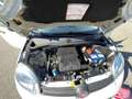 Fiat Panda Panda III 1.2 Pop 69cv E6 Bianco - thumbnail 11