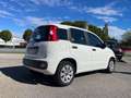 Fiat Panda Panda III 1.2 Pop 69cv E6 Bianco - thumbnail 3