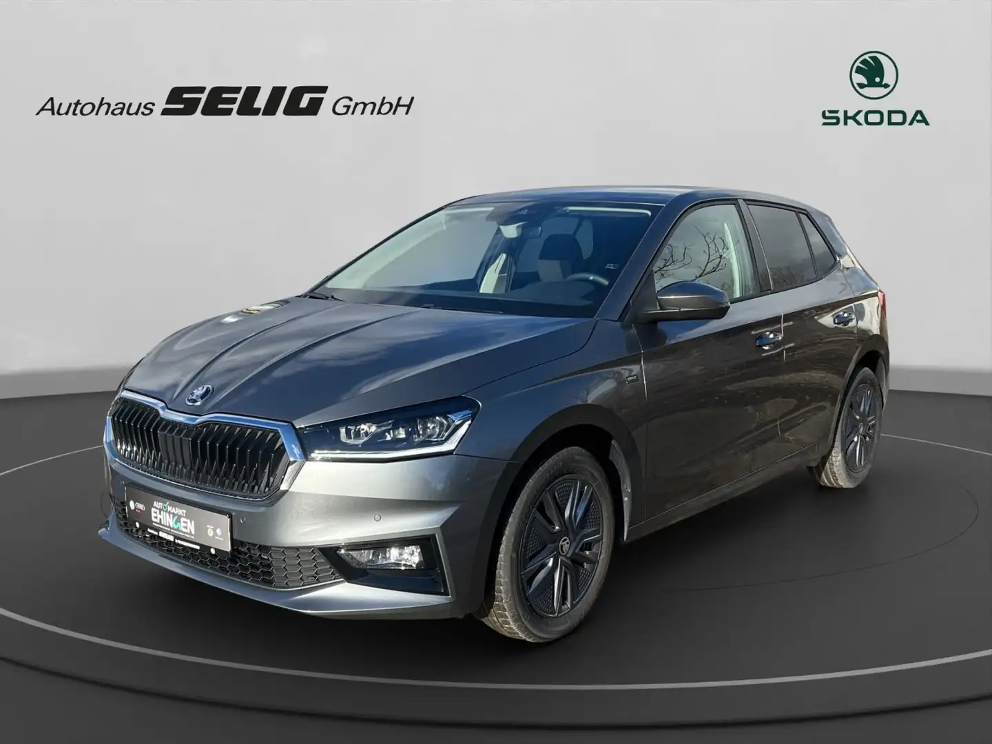 Skoda Fabia Drive 1,0 TSI 95 PS Grau - 1