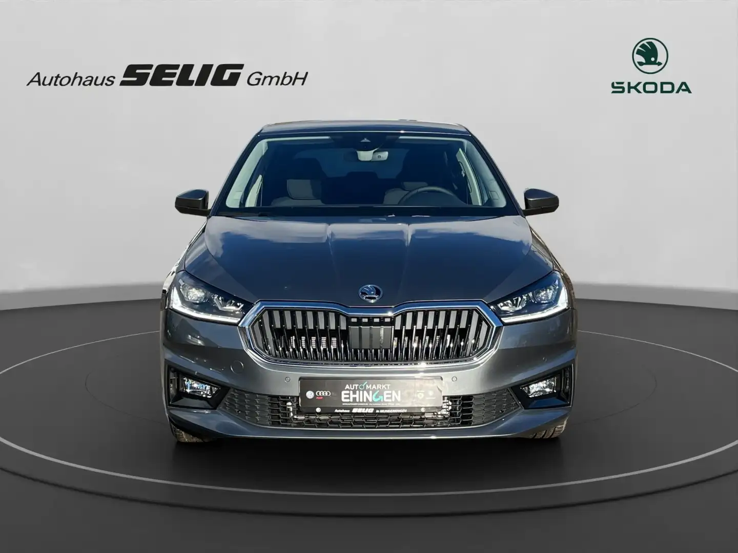 Skoda Fabia Drive 1,0 TSI 95 PS Grau - 2