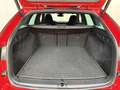 Skoda Octavia Combi 2,0 TDI Style DSG Rot - thumbnail 20