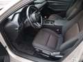 Mazda 3 M-Hybrid Selection G-150 NAVI ACAA HUD SHZ RFK MRC Marrón - thumbnail 11