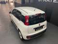 Fiat Panda 1.2 69cv Easy Blanc - thumbnail 42